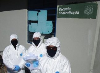 COVID 19 Antofagasta